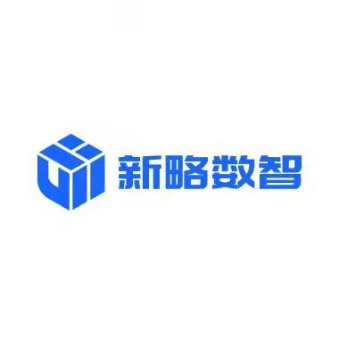 新略数智